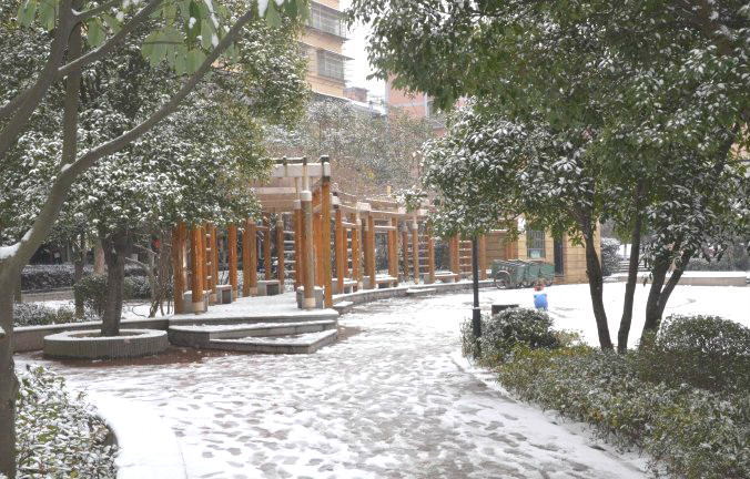 初雪逢周末，多个项目及时展开清理工作