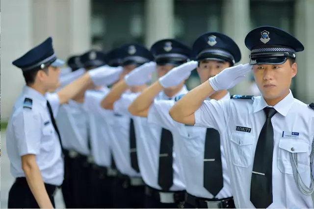 精进专业技能，共护和谐家园